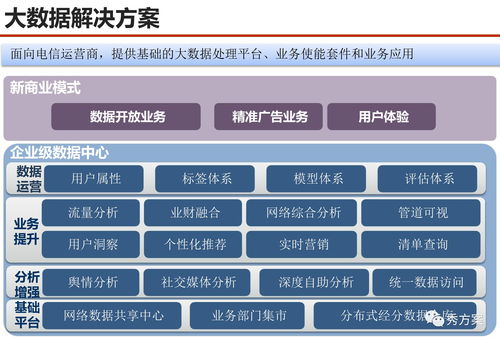 數(shù)據(jù)場景 服務(wù)型集團公司大數(shù)據(jù)應(yīng)用解決方案 PPT 范本與數(shù)據(jù)處理服務(wù)設(shè)計